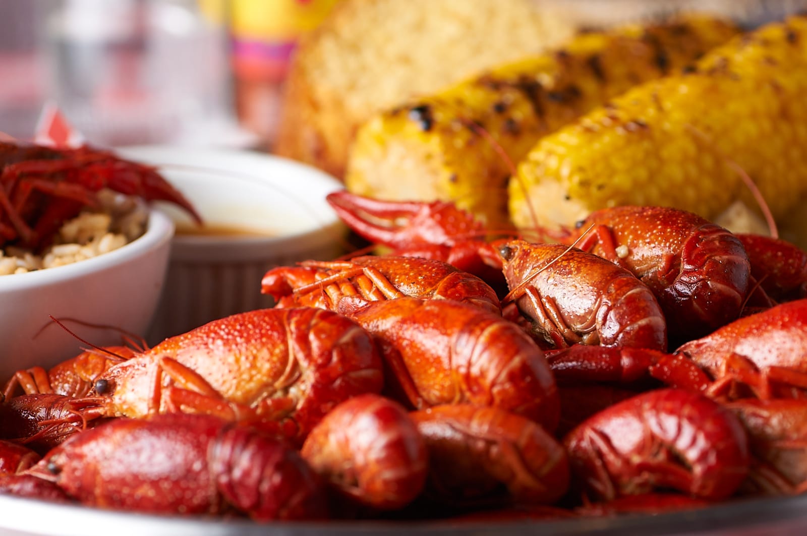 Full Crawfish Bucket Tooloulous